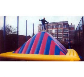 T11-716 Giant Inflatable Sports