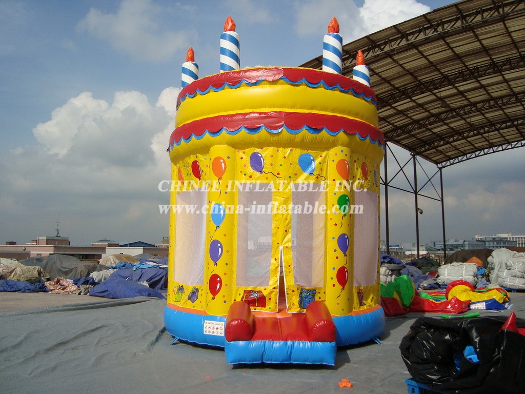 T4-6 Birthday Party Inflatable Bouncer
