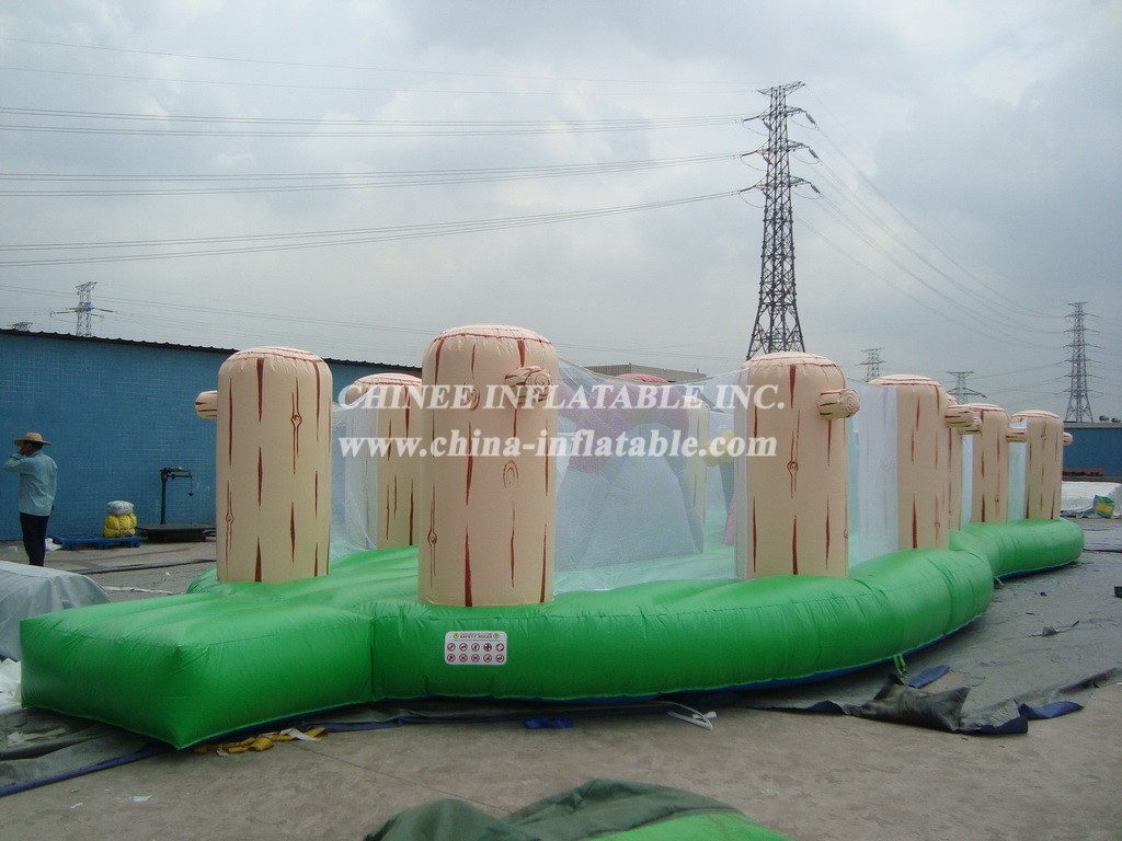 T6-258 Commercial Giant Inflatable