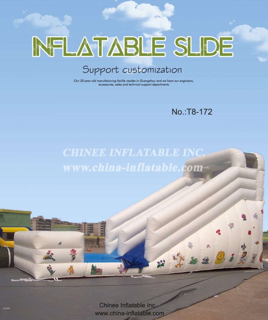 T8-172 - Chinee Inflatable Inc.