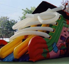T8-686 Large Canvas Shoe Inflatable Dry Slide