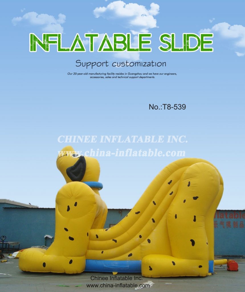 t8-539 - Chinee Inflatable Inc.
