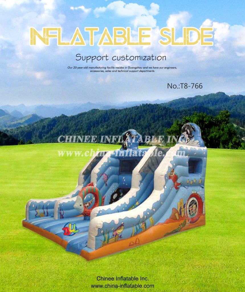 t8-766 - Chinee Inflatable Inc.