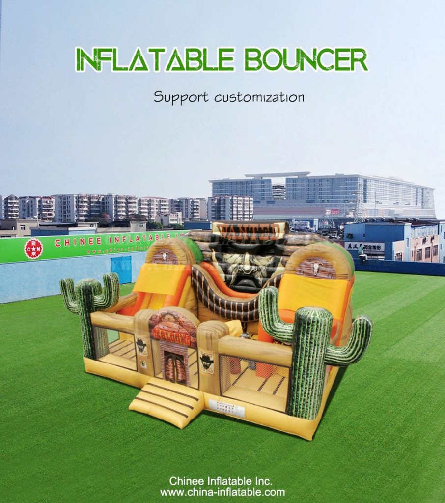 T2-4127-1 - Chinee Inflatable Inc.