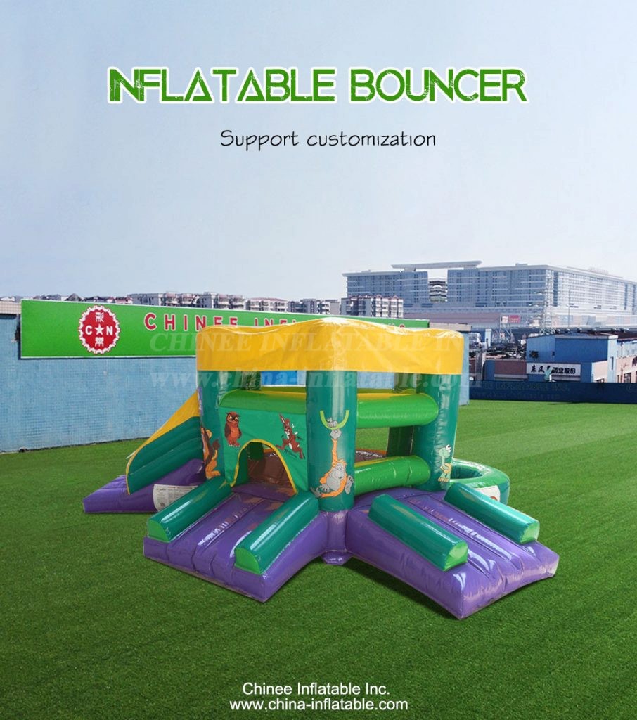T2-4139-1 - Chinee Inflatable Inc.