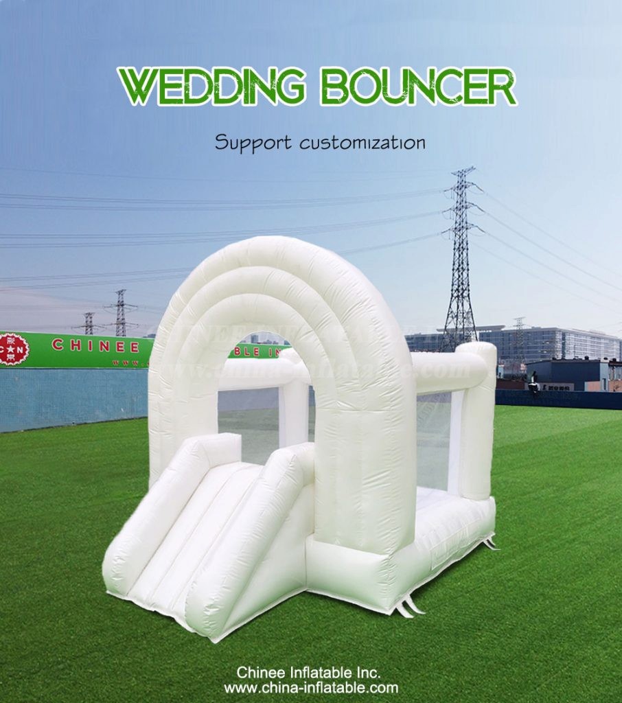T2-3554-1 - Chinee Inflatable Inc.
