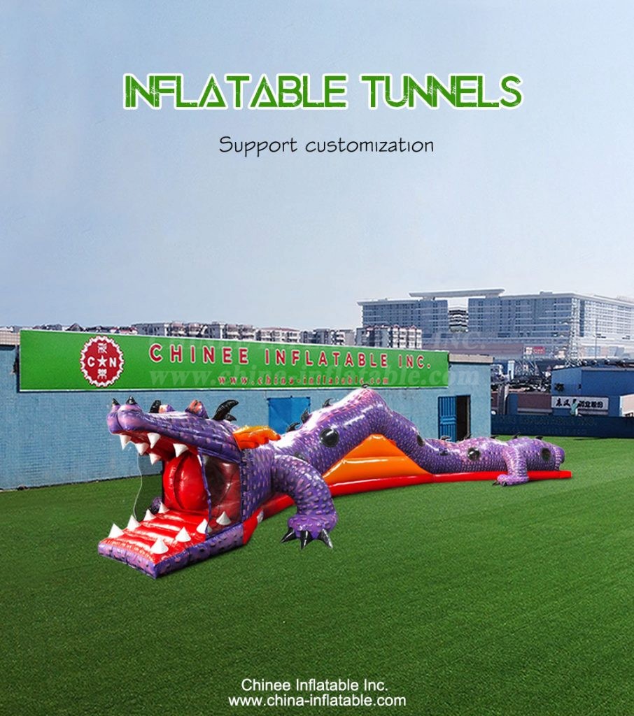T11-3217-1 - Chinee Inflatable Inc.