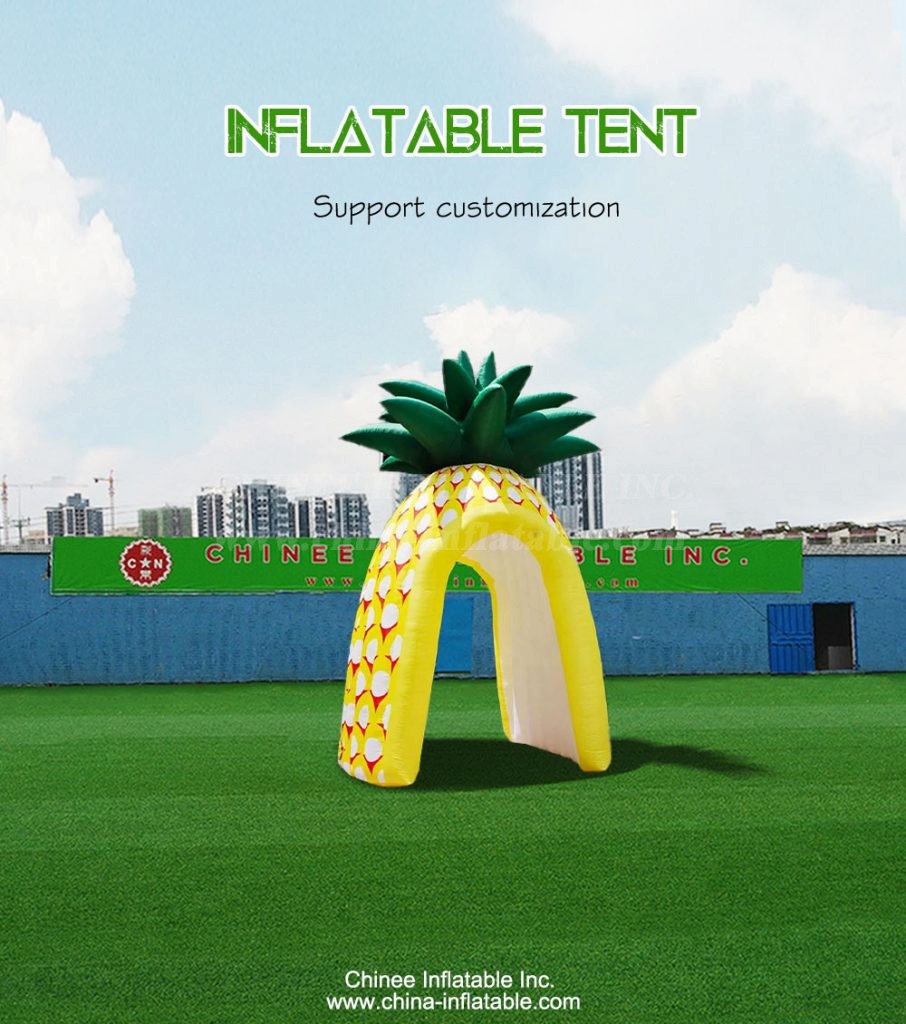 Tent1-4501-1 - Chinee Inflatable Inc.