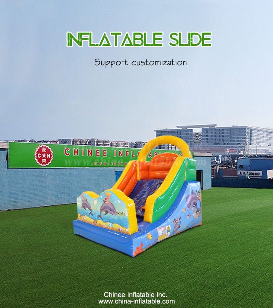 T8-4298-1 - Chinee Inflatable Inc.