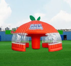 Tent1-6001 Inflatable dome tent
