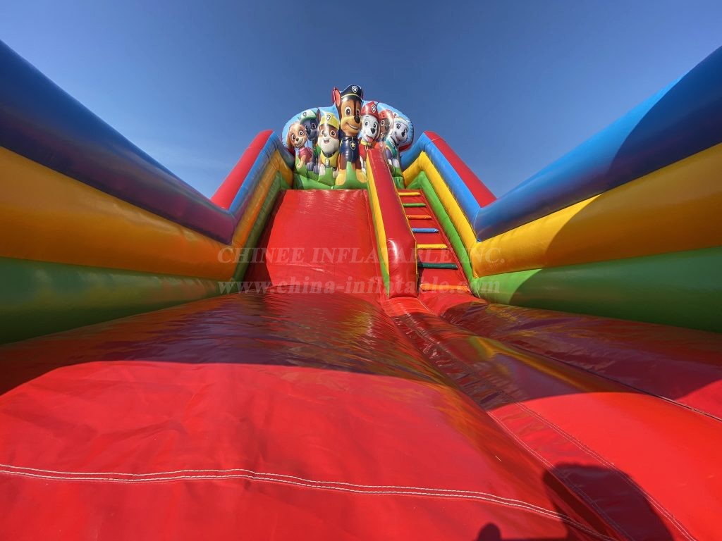 T8-4530 Dogs Inflatable Dry Slide